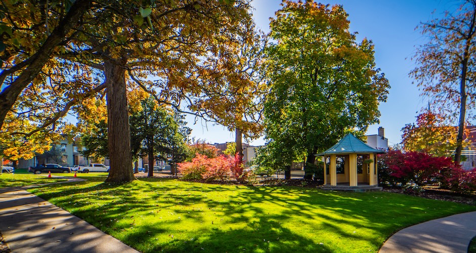 fall foliage for munson grounds