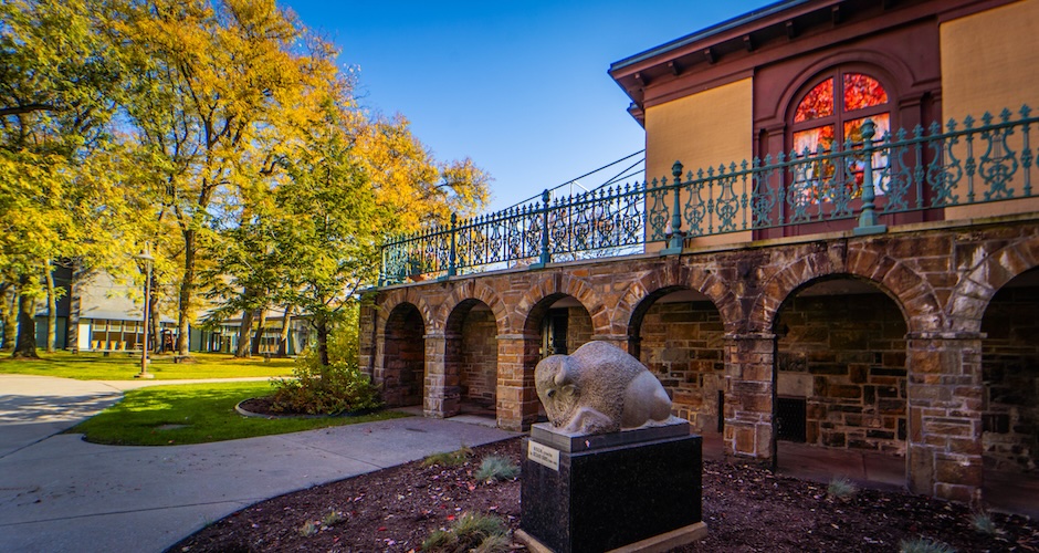 fall foliage for munson grounds