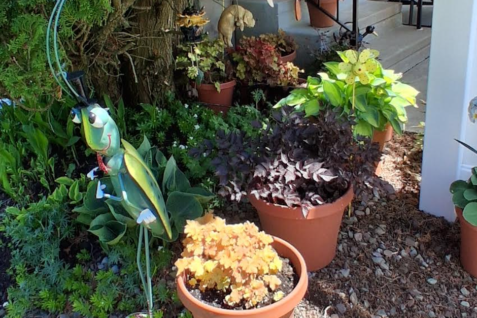 shade garden