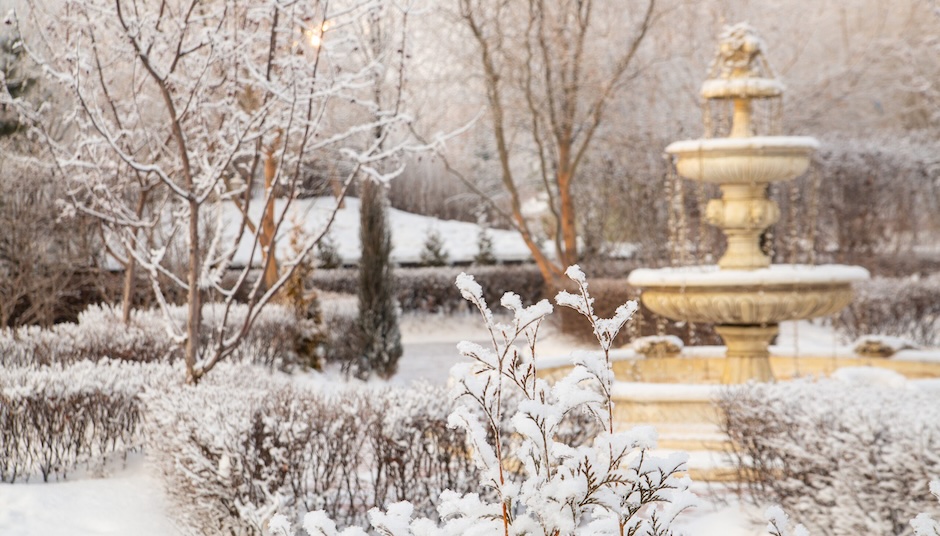 Winterizing Your Garden