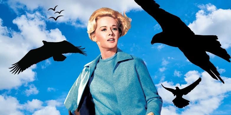 Hitchcock the birds