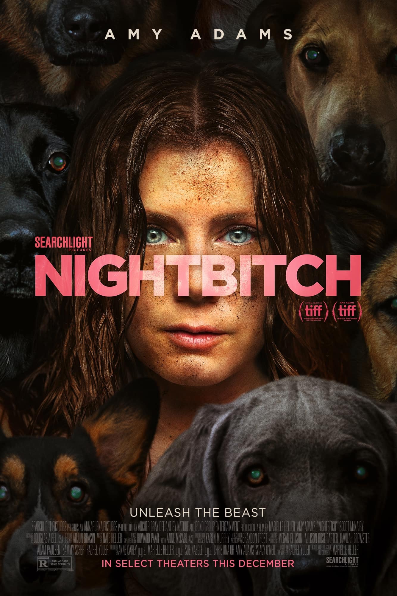 movie poster for Nightbitch