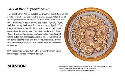 soul of chrysanthemum