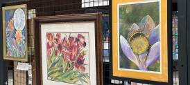 Festival Art Show