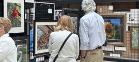 Festival Art Show