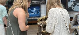 Festival Art Show